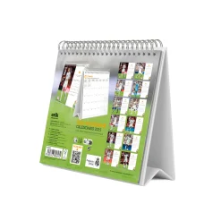 Grupo Erik Editores Desk Calendar 2025 Real Madrid^ Stationery