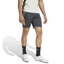 Adidas España, S.A.U Mens Pro UCL Training Shorts 24/25 Dark Grey^ Pants